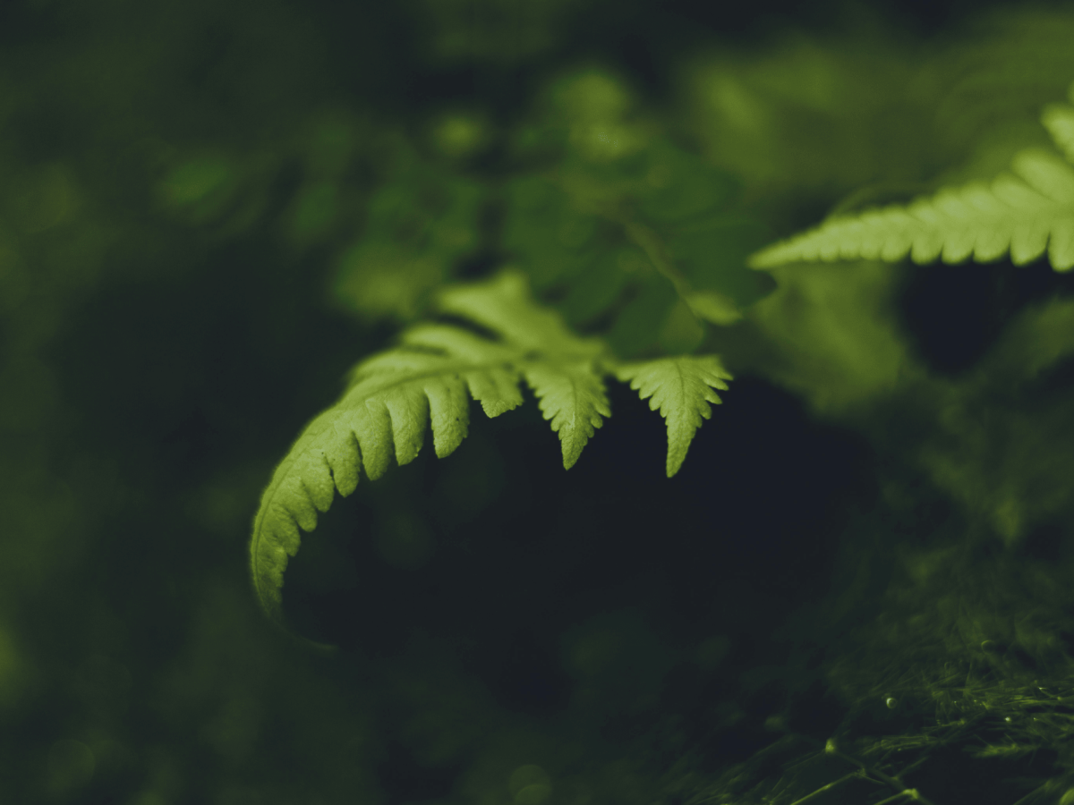 2026年企業碳治理制度新轉變